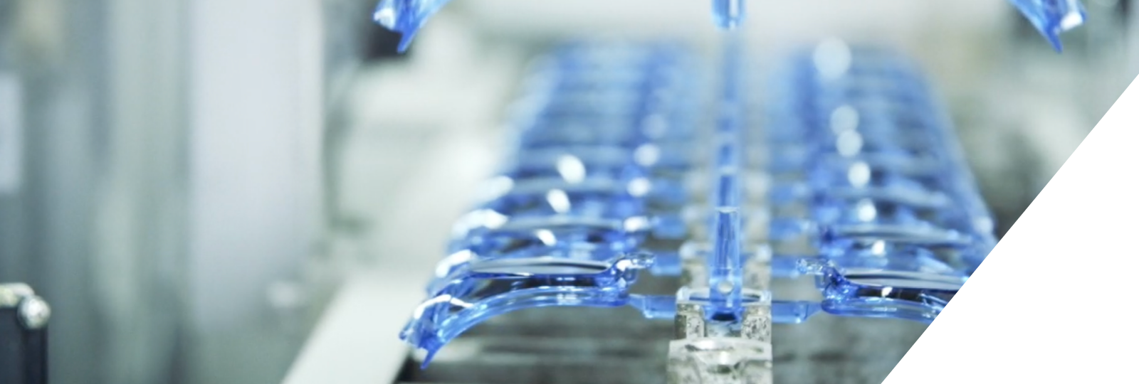 山本光学の取り組み